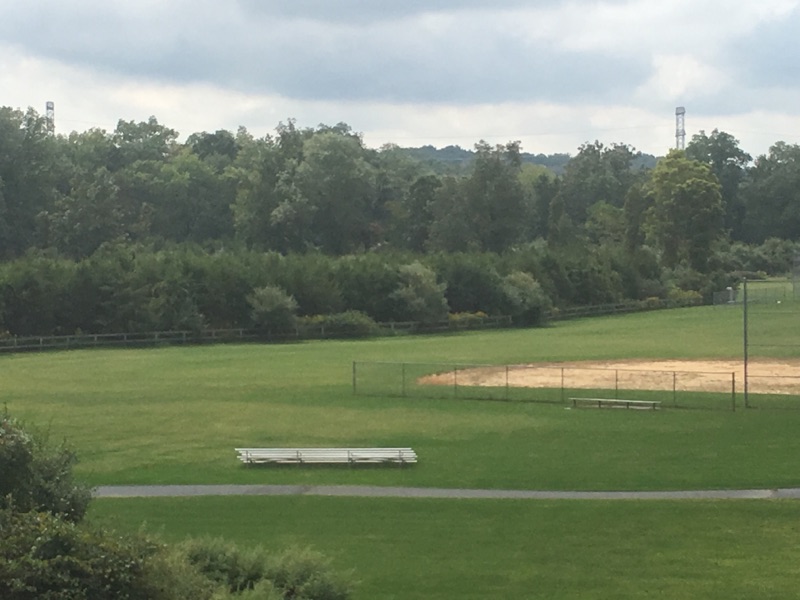 Ball Field at Veterans Park