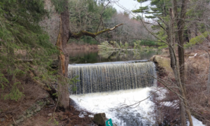 Township Committee Meeting