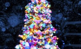 Tree Lighting & Holiday Party