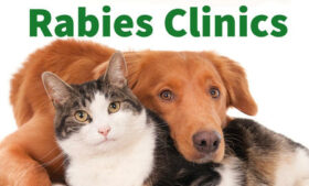 Free Rabies Clinic